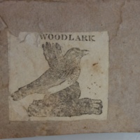 Woodlark .jpg